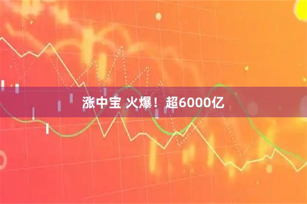涨中宝 火爆！超6000亿