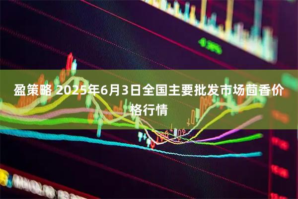 盈策略 2025年6月3日全国主要批发市场茴香价格行情